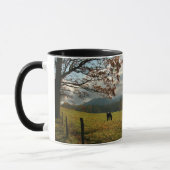 Mug États-Unis, Tennessee. Cheval Dans La Vallée De Ca (Gauche)