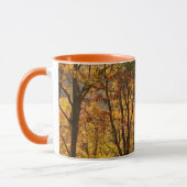 Mug États-Unis, Tennessee. Chute (Gauche)