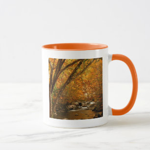 Mug États-Unis, Tennessee. Ruisseau Rushing Mountain 
