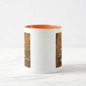 Mug États-Unis, Tennessee. Ruisseau Rushing Mountain (Centre)