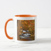 Mug États-Unis, Tennessee. Ruisseau Rushing Mountain (Gauche)