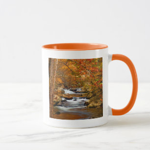 Mug États-Unis, Tennessee. Rushing Mountain Creek
