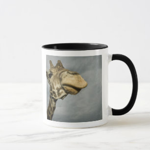Mug États-Unis, Texas, Fossil Rim Wildlife Area, giraf