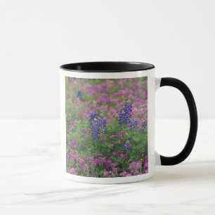 Mug États-Unis, Texas Hill Country. Bleuets parmi les 