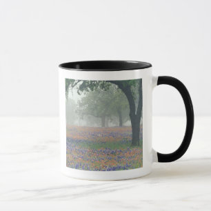 Mug États-Unis, Texas. Pinceau texan et bleuets