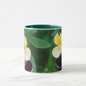 Mug États-Unis, Utah, Cache Valley, Johnny Jump Up (Centre)