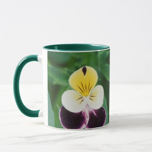 Mug États-Unis, Utah, Cache Valley, Johnny Jump Up (Gauche)