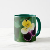 Mug États-Unis, Utah, Cache Valley, Johnny Jump Up (Devant droit)