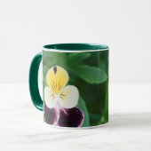 Mug États-Unis, Utah, Cache Valley, Johnny Jump Up (Devant gauche)