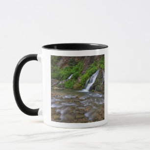 Mug États-Unis, Utah, parc national de Zion.  Big Spri
