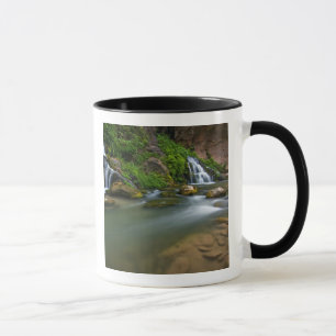 Mug États-Unis, Utah, Parc national de Zion. La Vierge