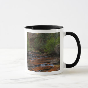 Mug États-Unis, Utah, parc national de Zion. Paysage
