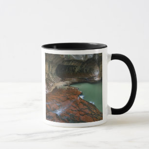 Mug États-Unis, Utah, Parc national de Zion. Scénique 