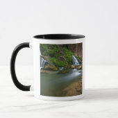 Mug États-Unis, Utah, Zion National Park. La Vierge (Gauche)