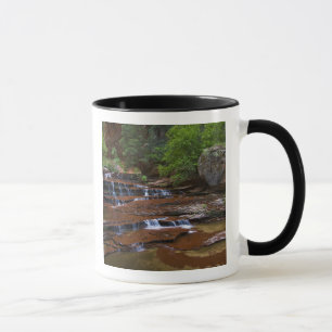 Mug États-Unis, Utah, Zion National Park. Pittoresque 