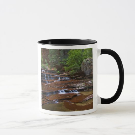 Mug États-Unis, Utah, Zion National Park. Pittoresque  (Droite)