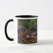 Mug États-Unis, Utah, Zion National Park. Pittoresque  (Gauche)