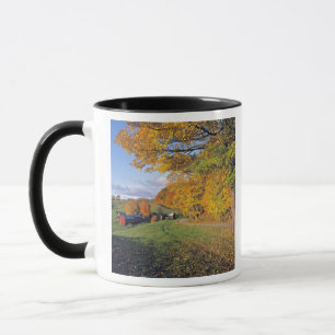 Mug États-Unis, Vermont, ferme de Jenne. L'automne arr