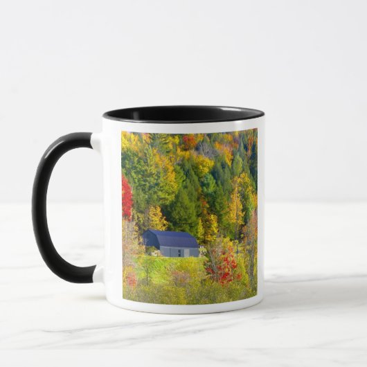Mug États-Unis, Vermont. Feuillage d'automne le long d (Gauche)
