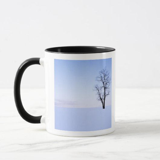 Mug États-Unis, Virginie, comté de Page, Black Locust (Gauche)