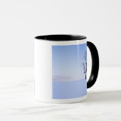 Mug États-Unis, Virginie, comté de Page, Black Locust (Devant droit)