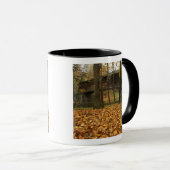 Mug États-Unis, Virginie, Covington, Humpback couvert (Devant droit)