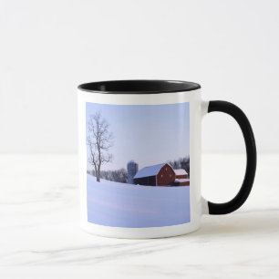 Mug États-Unis, Virginie, vallée de Shenandoah, grange