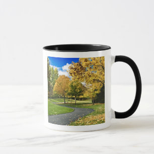 Mug États-Unis, Washington