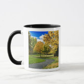 Mug États-Unis, Washington (Gauche)