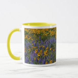 Mug États-Unis, Washington, Columbia River Gorge Natio