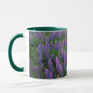Mug États-Unis, Washington, Comté de Clallam, Lupine