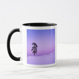 Mug États-Unis, Washington, comté de Spokane, Riversid