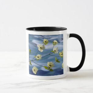 Mug États-Unis, Washington, Hood Canal. Cornouiller du