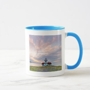 Mug États-Unis, Washington, îles San Juan. Coucher de 
