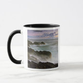 Mug États-Unis, Washington, îles San Juan.  Crash des  (Gauche)