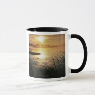Mug États-Unis, Washington, Lopez Island, Brouillard m