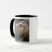 Mug États-Unis, Washington, Northwest Trek. Castor (Devant gauche)