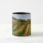 Mug États-Unis, Washington oriental, Vignobles de Wall (Centre)
