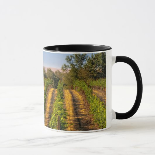 Mug États-Unis, Washington oriental, vignobles Walla W (Droite)