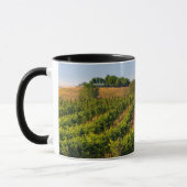 Mug États-Unis, Washington oriental, vignobles Walla W (Gauche)