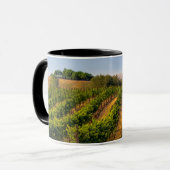 Mug États-Unis, Washington oriental, vignobles Walla W (Devant gauche)