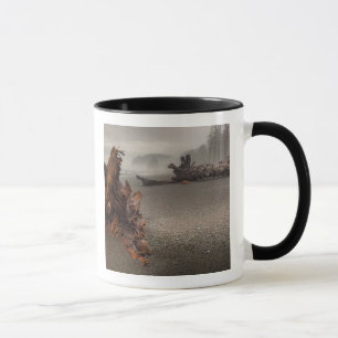 Mug États-Unis, Washington, Parc national Olympique, R