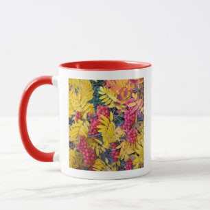 Mug États-Unis, Washington, Sorbier occidental de mont