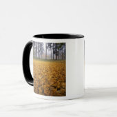 Mug États-Unis, Washington, Spokane, Manito Park, Auto (Devant gauche)