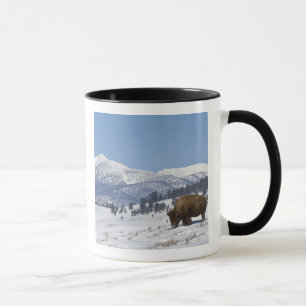 Mug États-Unis, WY, Parc national de Yellowstone, Biso