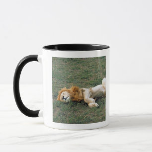 Mug Étirage masculin de lion