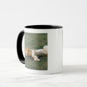 Mug Étirage masculin de lion (Devant gauche)