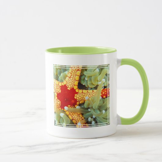 Mug Étoile de mer rouge et jaune (Droite)