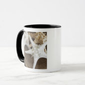 Mug Étoiles de mer dans un panier (Devant gauche)
