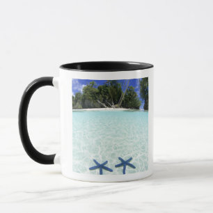 Mug Étoiles de mer, Îles Rock, Palaos